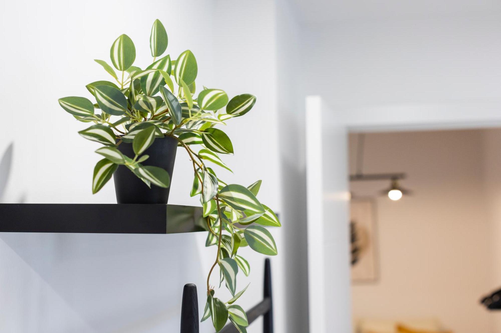 Apartamentos Gurugu รีบาเดโอ ภายนอก รูปภาพ